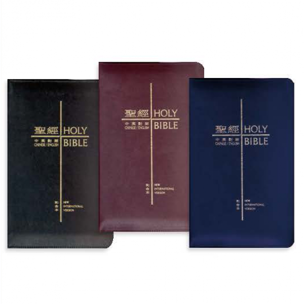 聖經 The Holy Bibles