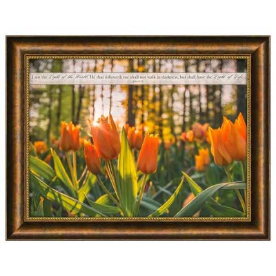 LIGHT OF THE WORLD FRAMED ART (46550)
