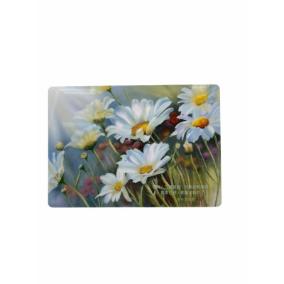 磨砂面(生命之花12cmx17cm)