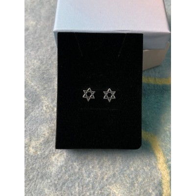 耳環	(小大衛星)