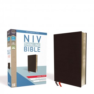 NIV, Thinline Bible	 NIV，細線聖經，大字體，粘合皮革，黑色，紅色字母，舒適打印 粘合皮革 - 大字體，2017 年 11 月 21 日