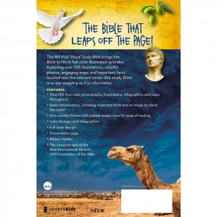 NIV, Bible for Kids  NIV，兒童視覺學習聖經，Leathersoft，青銅，全彩內飾：探索聖經的故事——人物、地點和歷史 仿皮 – 插圖，2017 年 6 月 6 日