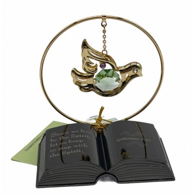 Mini Dove – Bible Story – Bible (Text : Galatians 5:25)